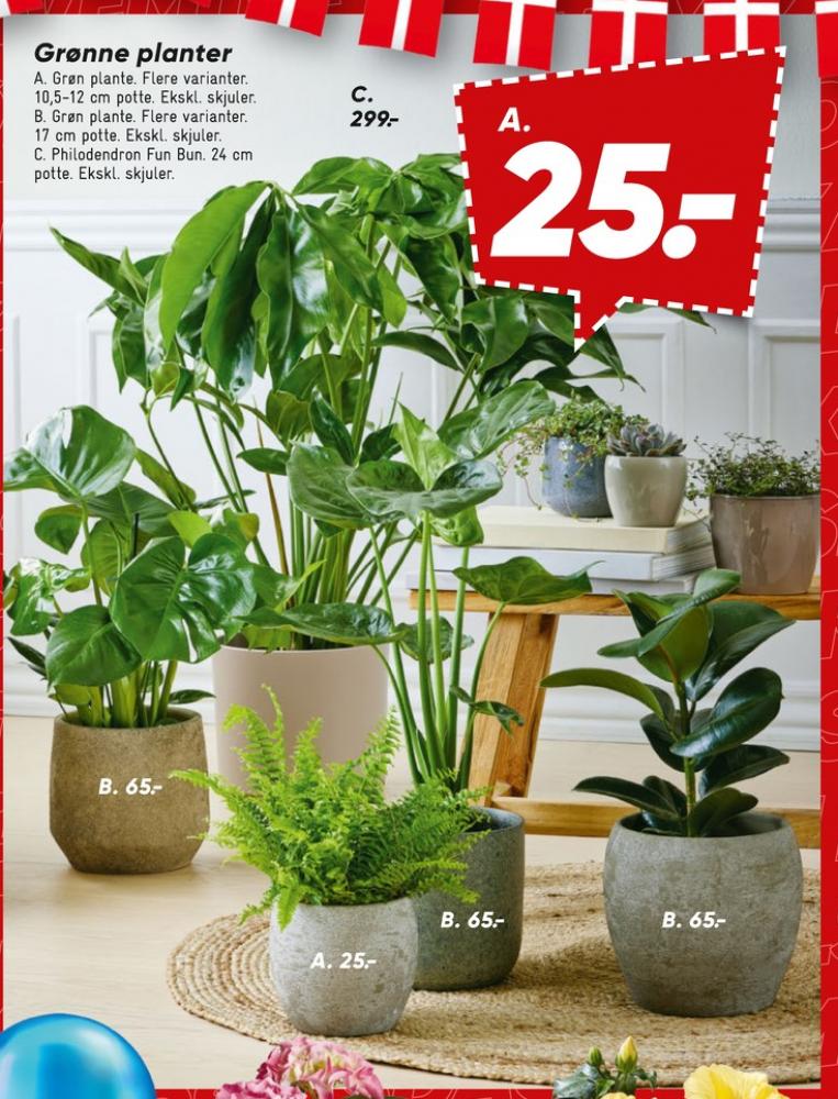 Planter