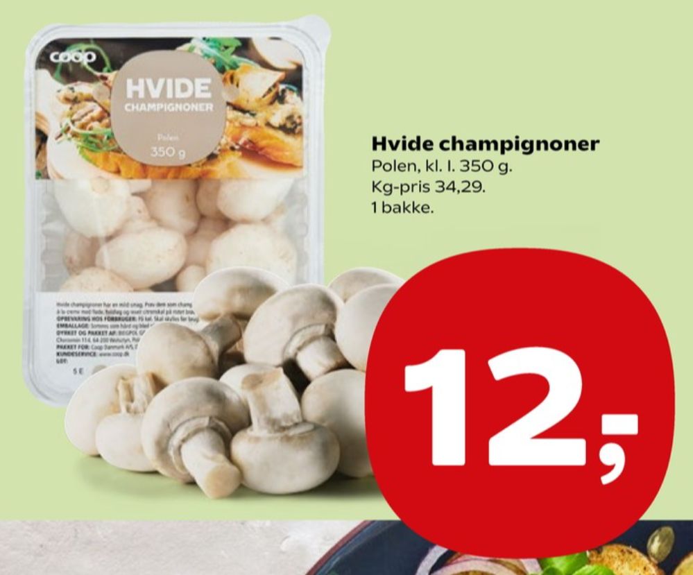 Coop, Champignon