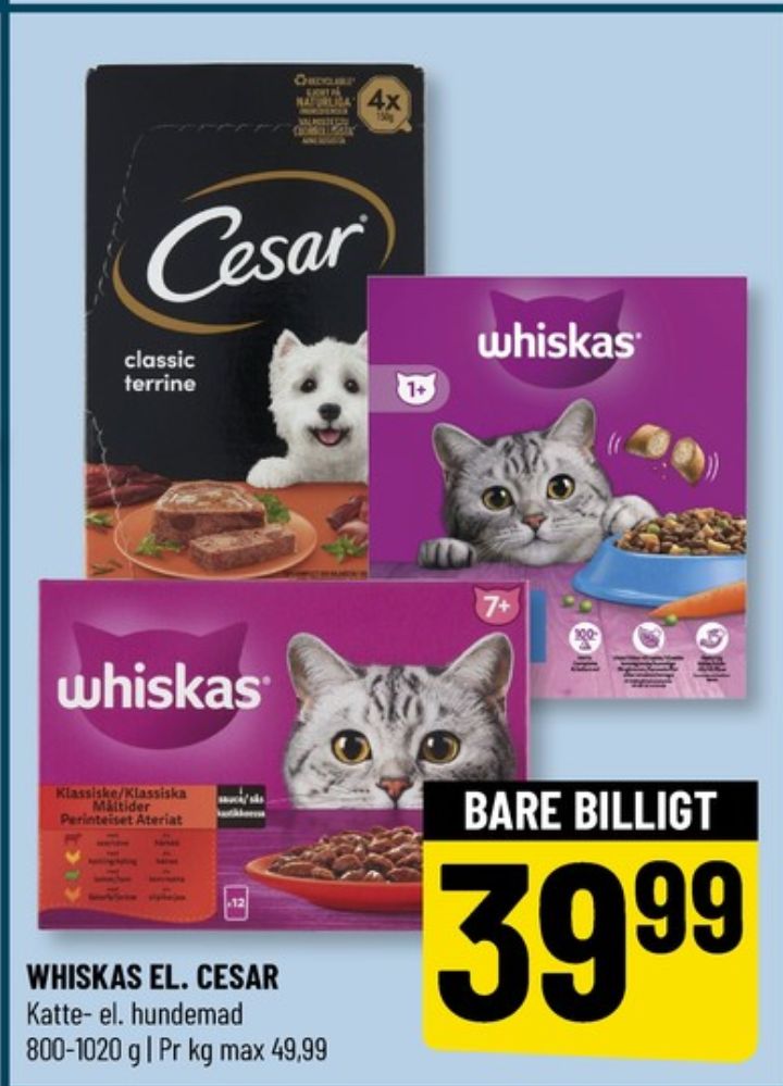 Cesar, Hundefoder