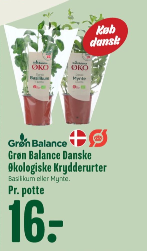 Grøn Balance, Krydderurter