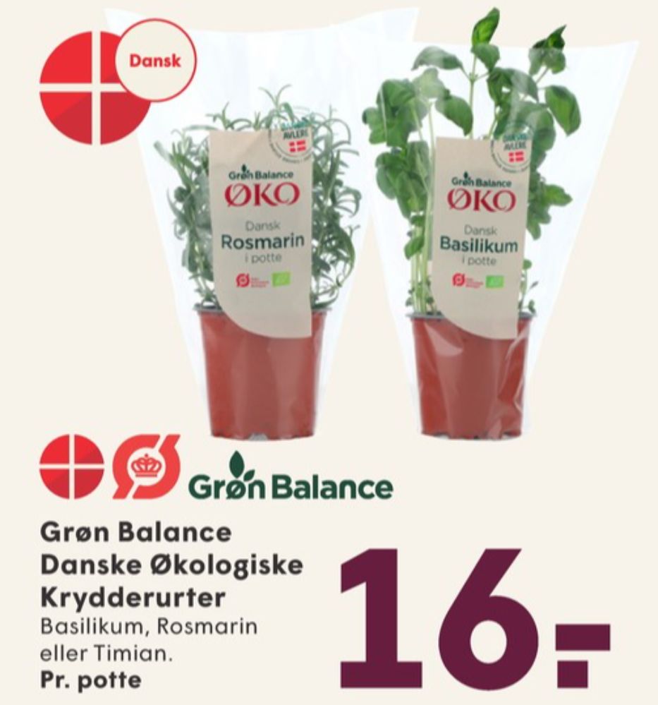 Grøn Balance, Krydderurter