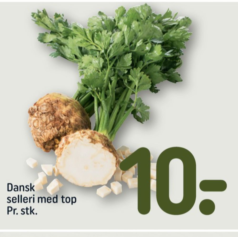Knoldselleri