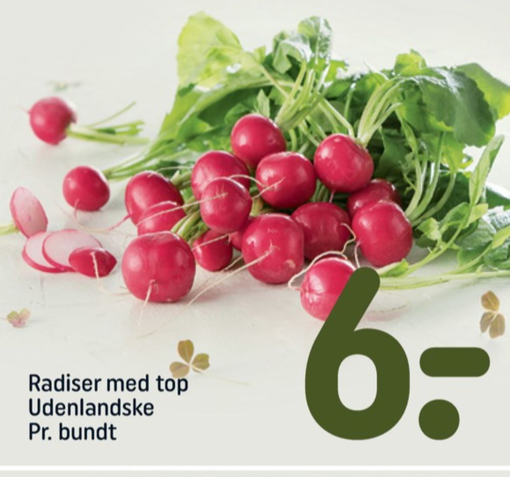 Radiser