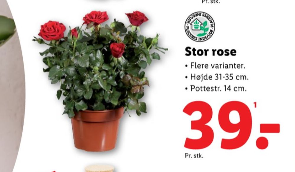 Planter