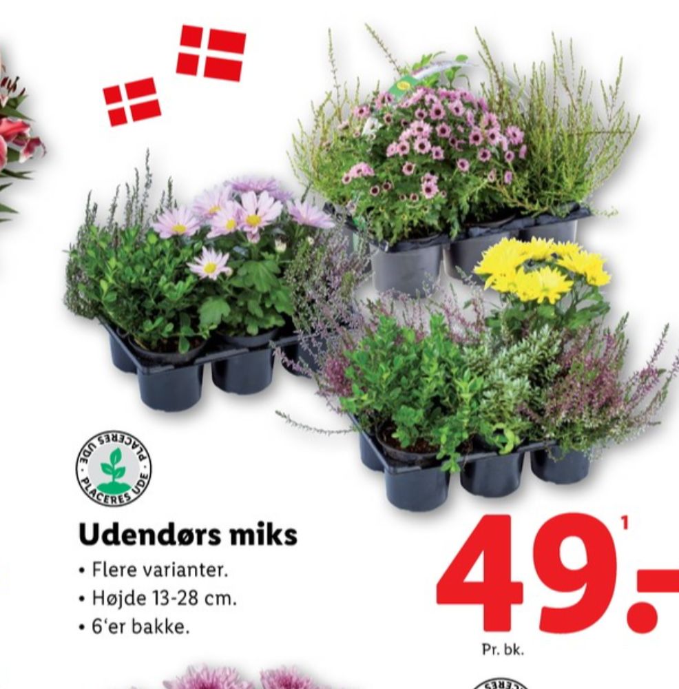 Planter