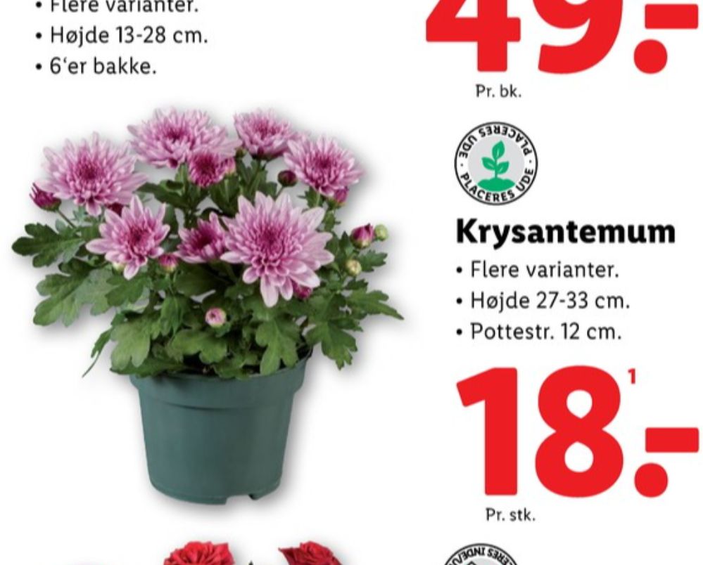 Planter