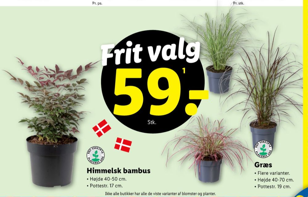 Planter