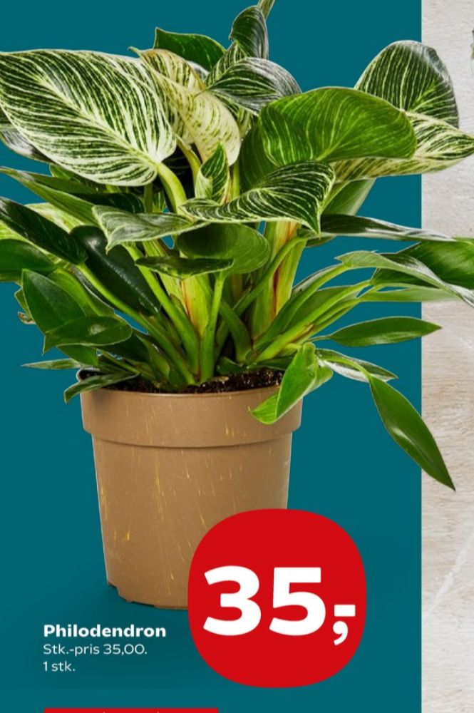 Planter