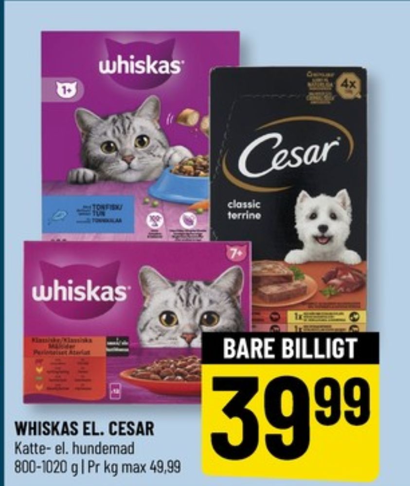 Cesar, Hundefoder