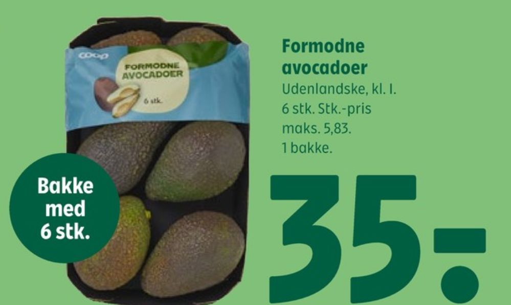 Coop, Avocado
