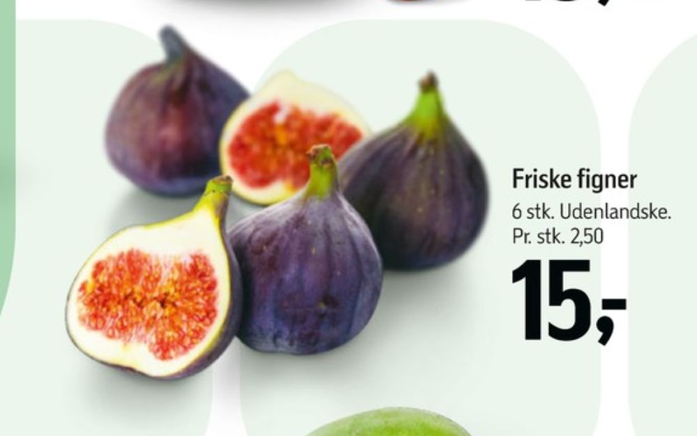 Figner