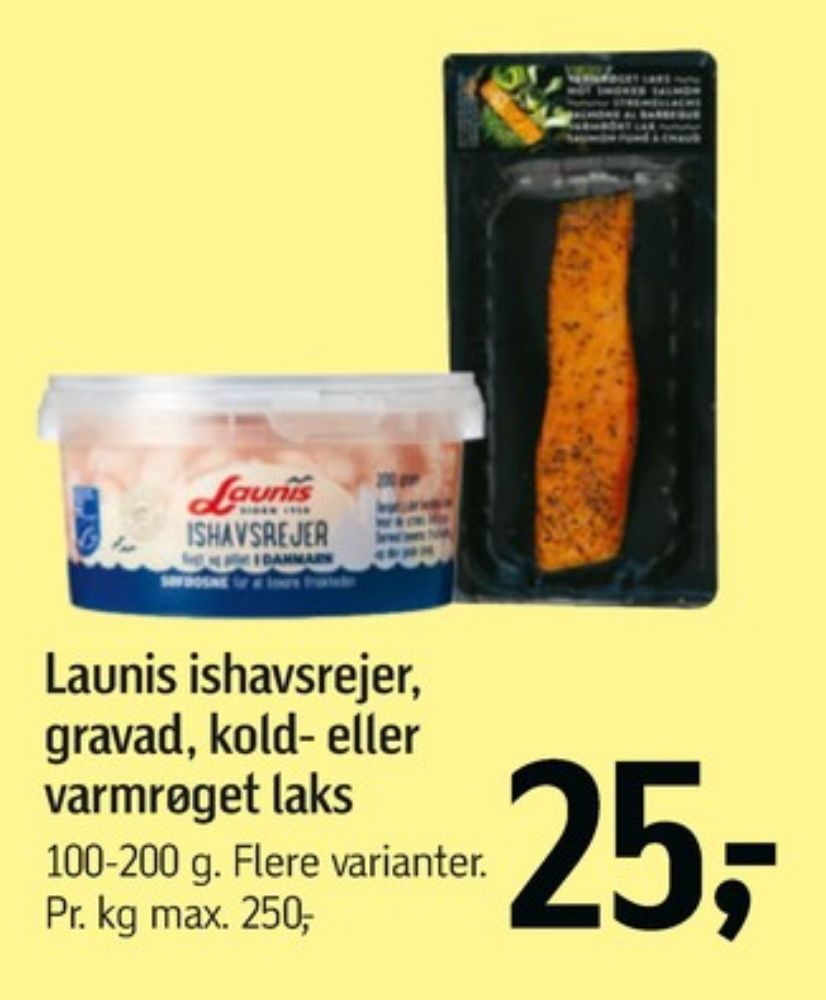 Launis, Rejer