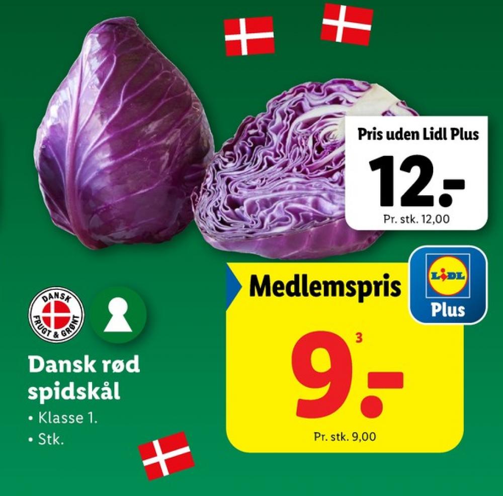 Spidskål