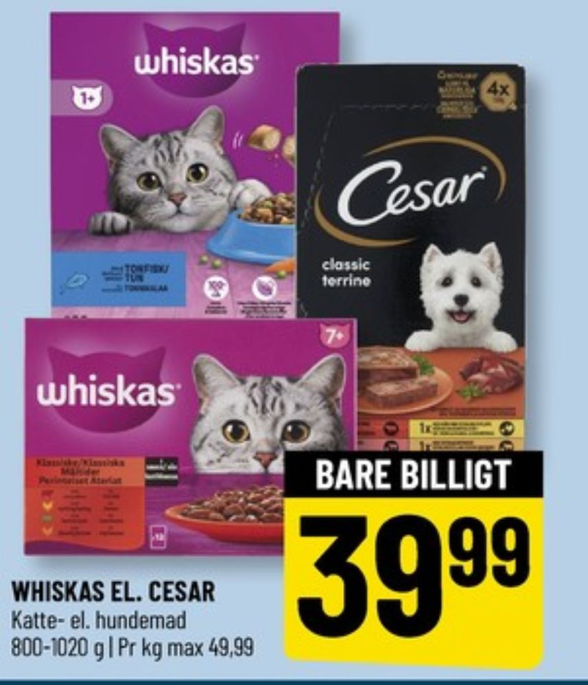 Cesar, Hundefoder