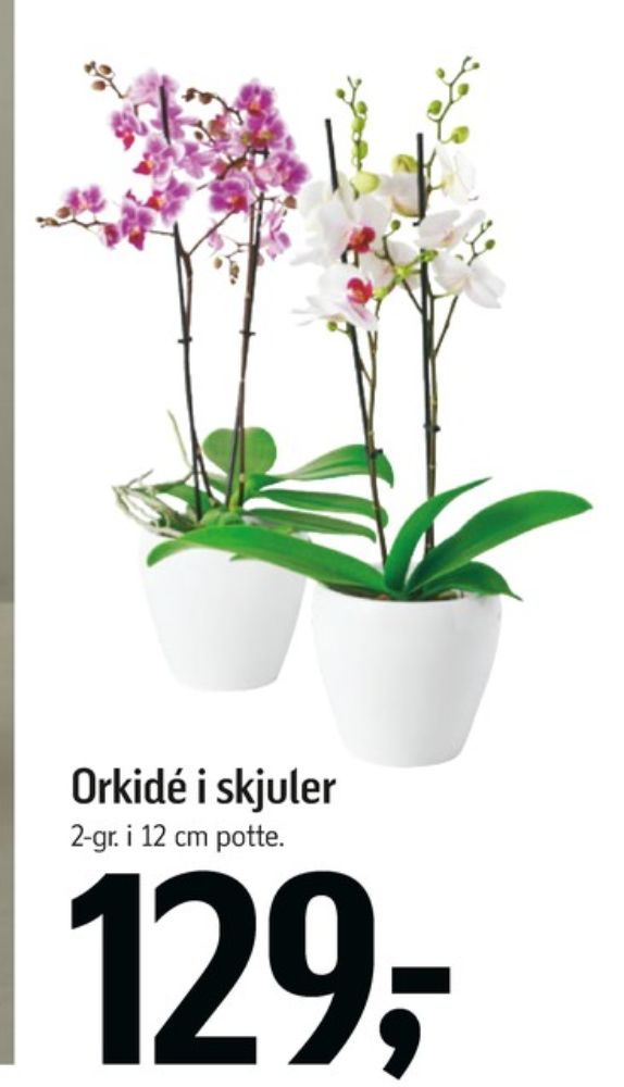 Planter