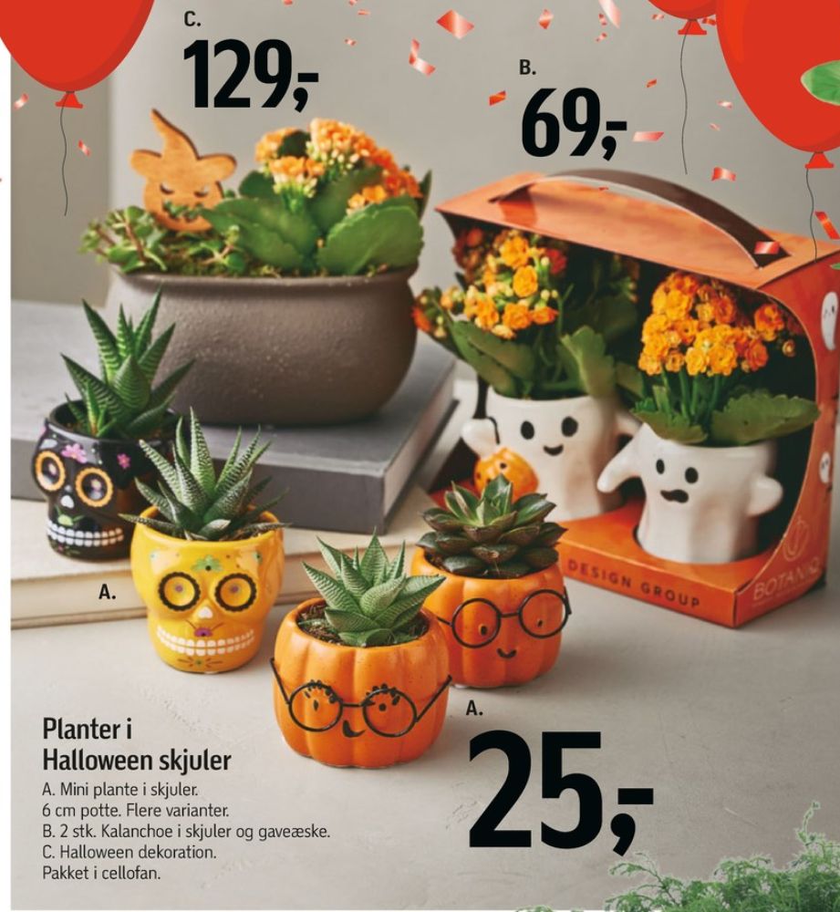 Blomsterdekorationer
