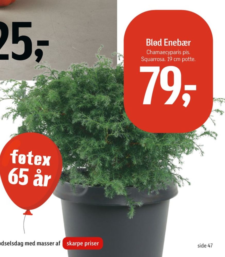 Planter