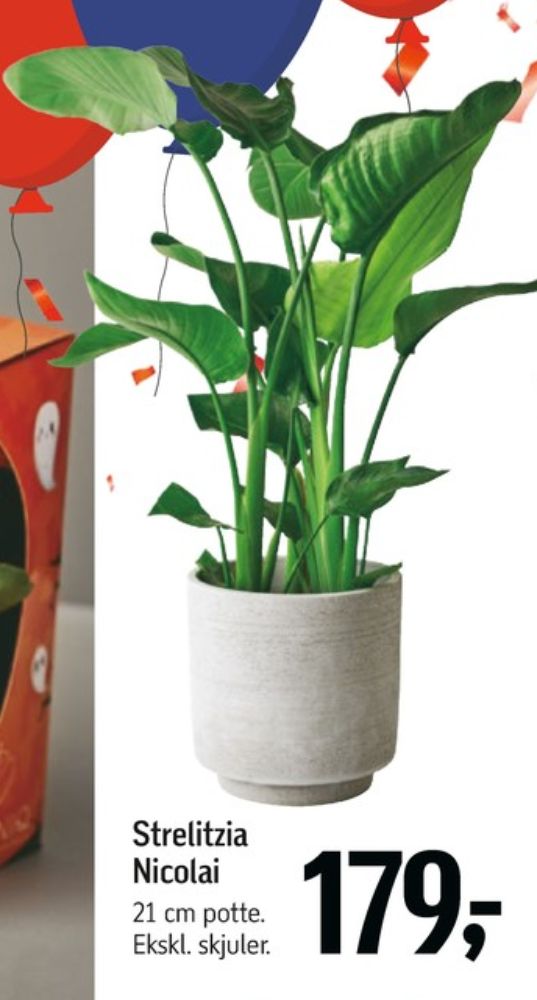 Planter