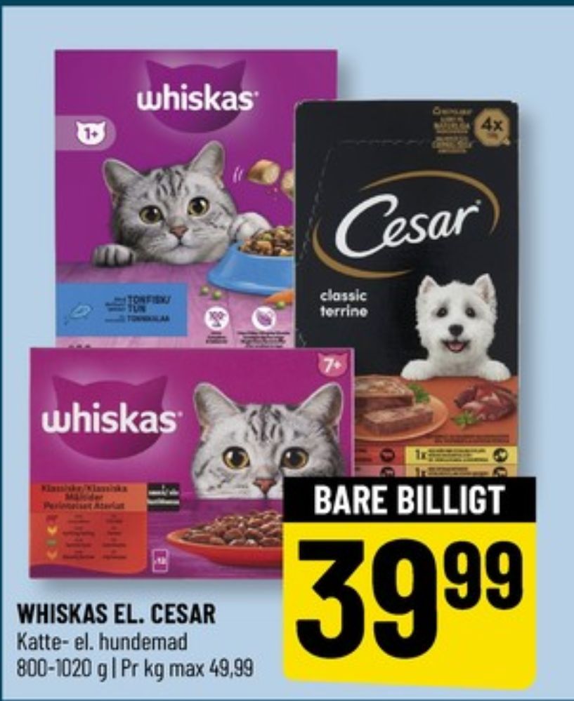 Cesar, Hundefoder