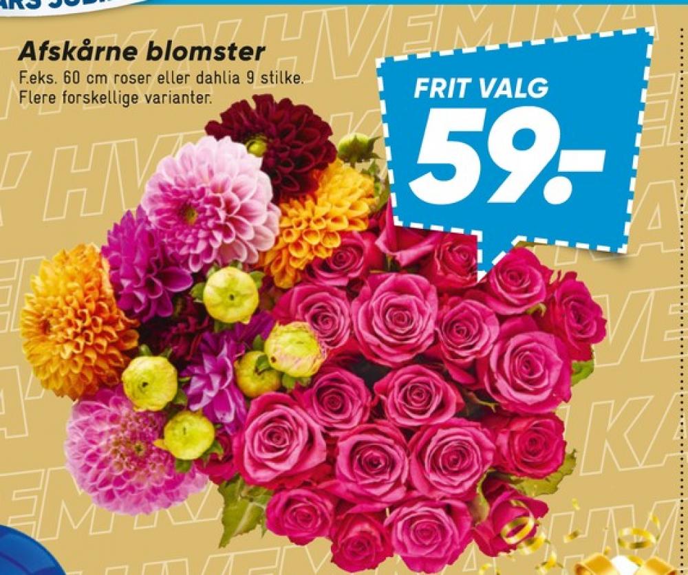 Buket
