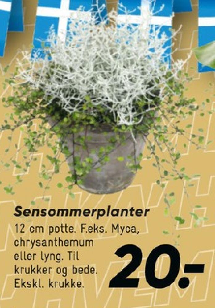Planter