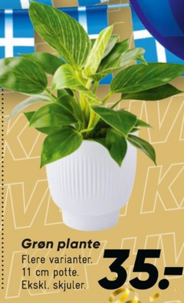 Planter