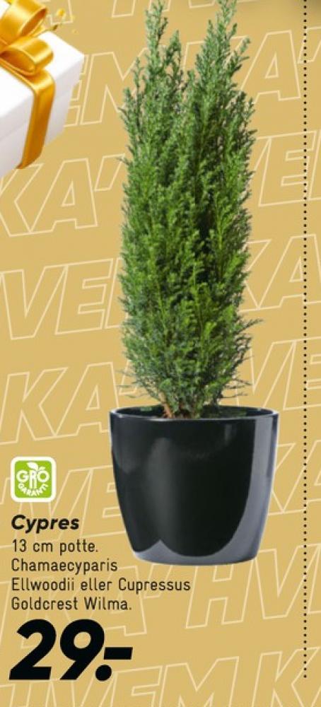 Planter