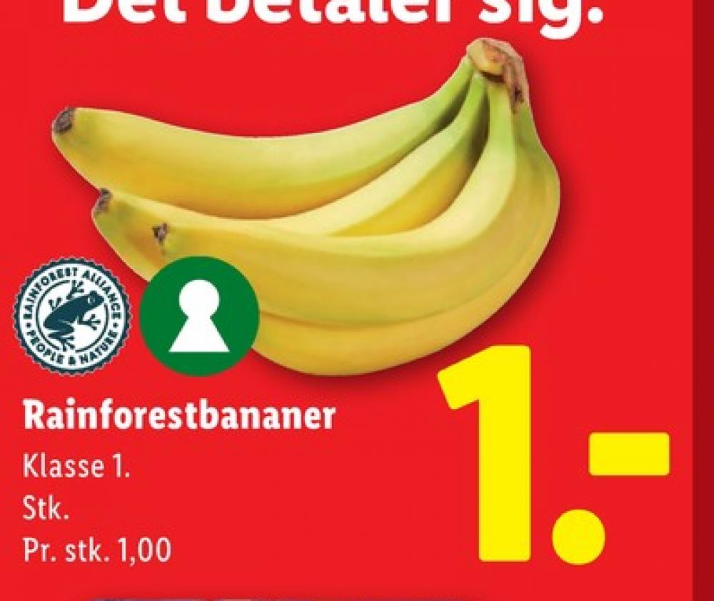 Bananer