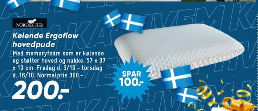 Nordisk Fjer, Hovedpude