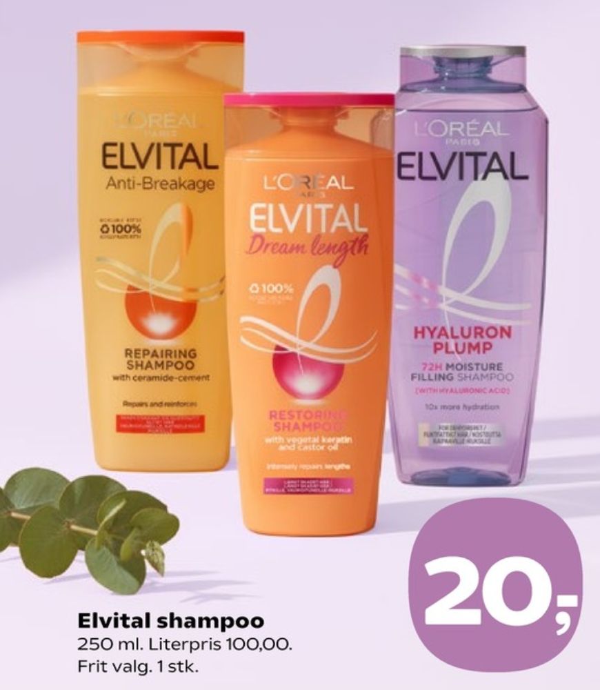 Loreal Elvital, Shampoo