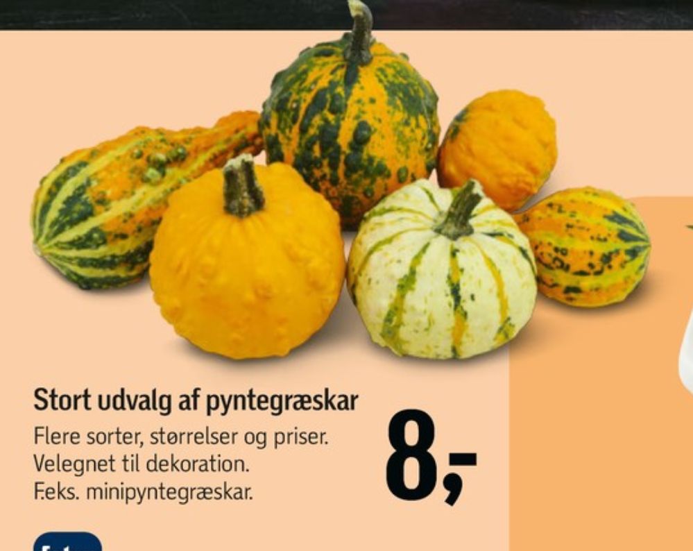 Halloween Græskar
