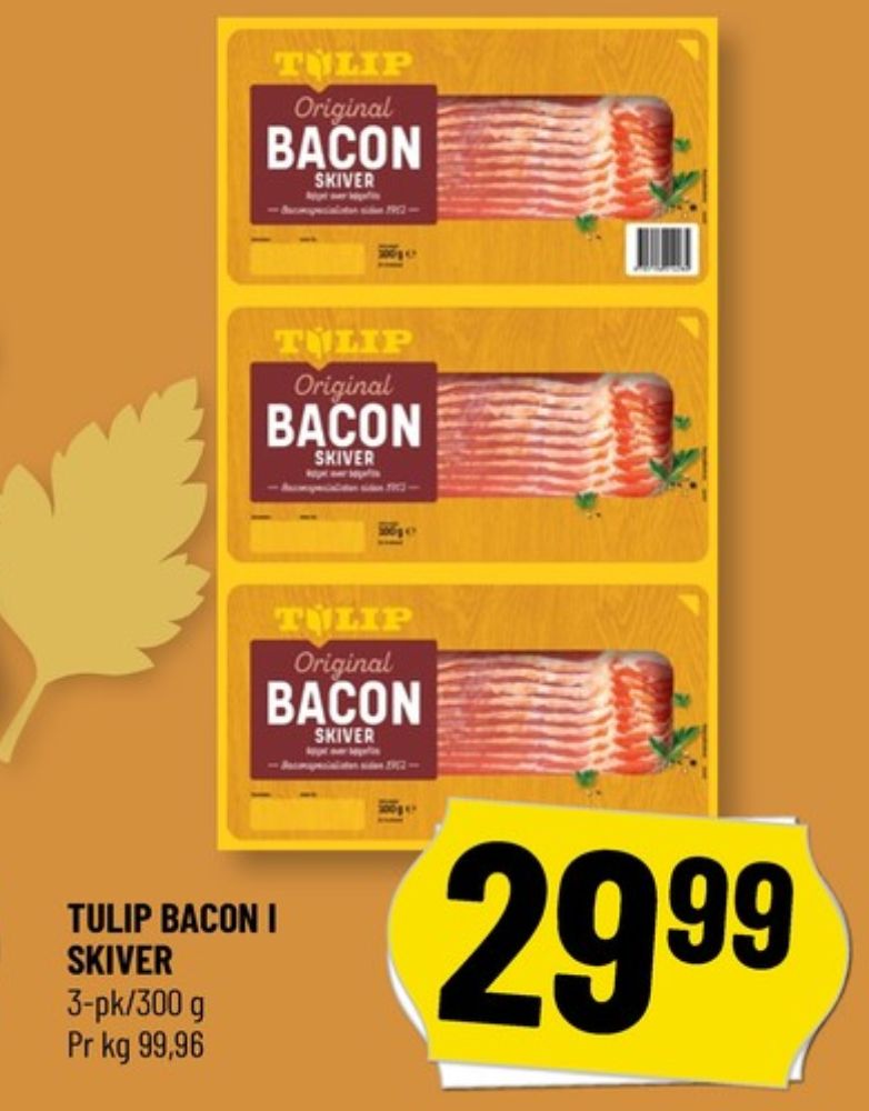 Tulip, Baconskiver