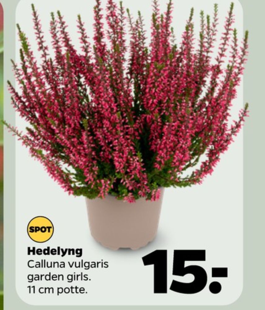 Planter