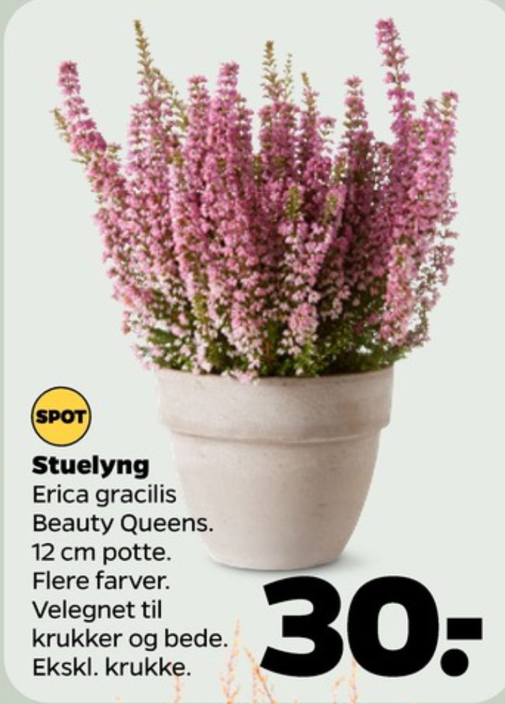 Planter
