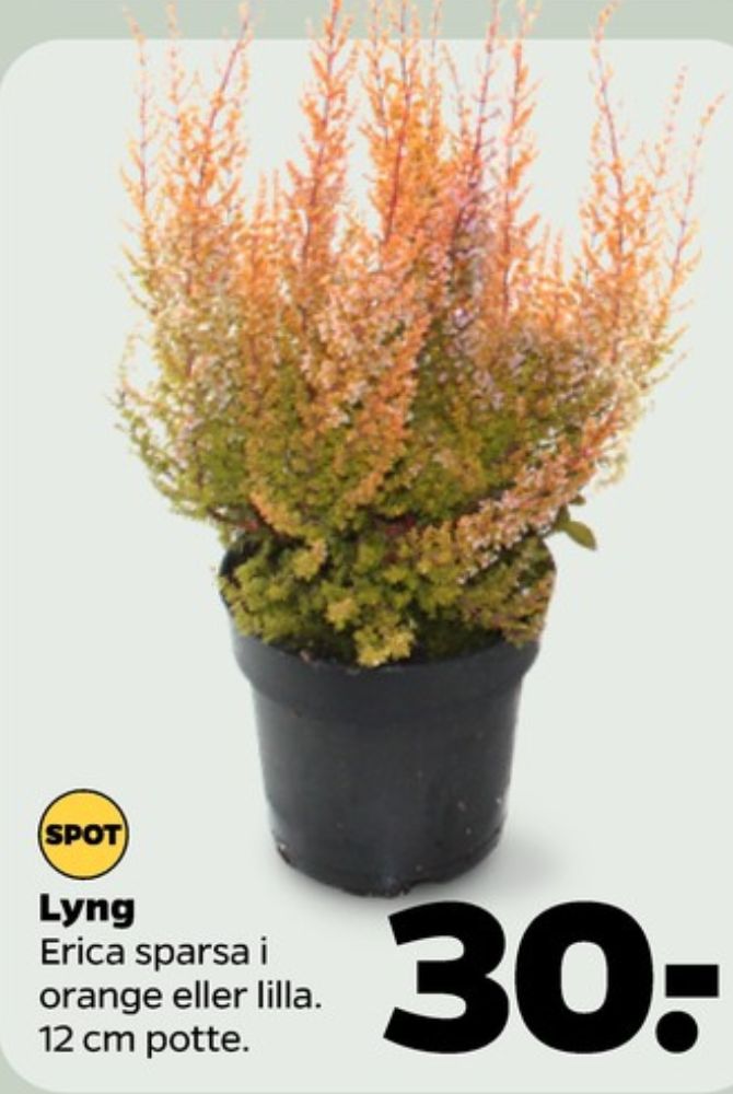 Planter