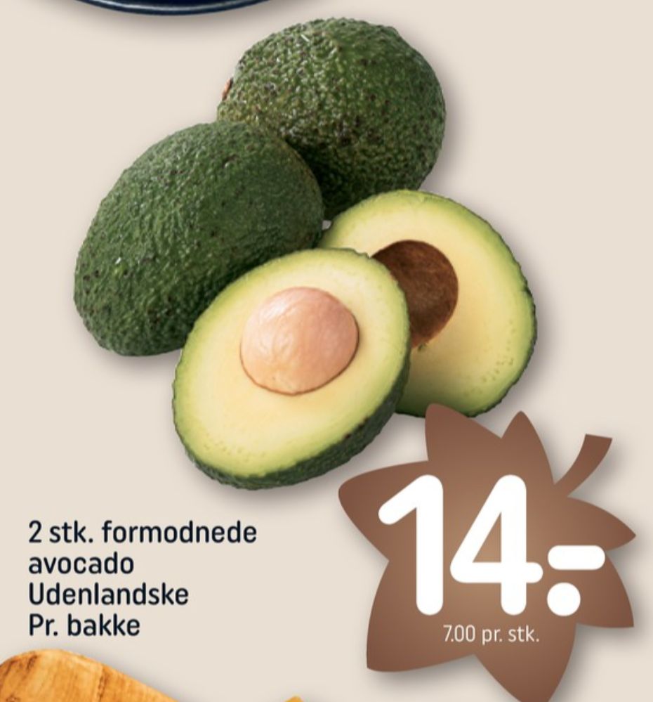 Avocado