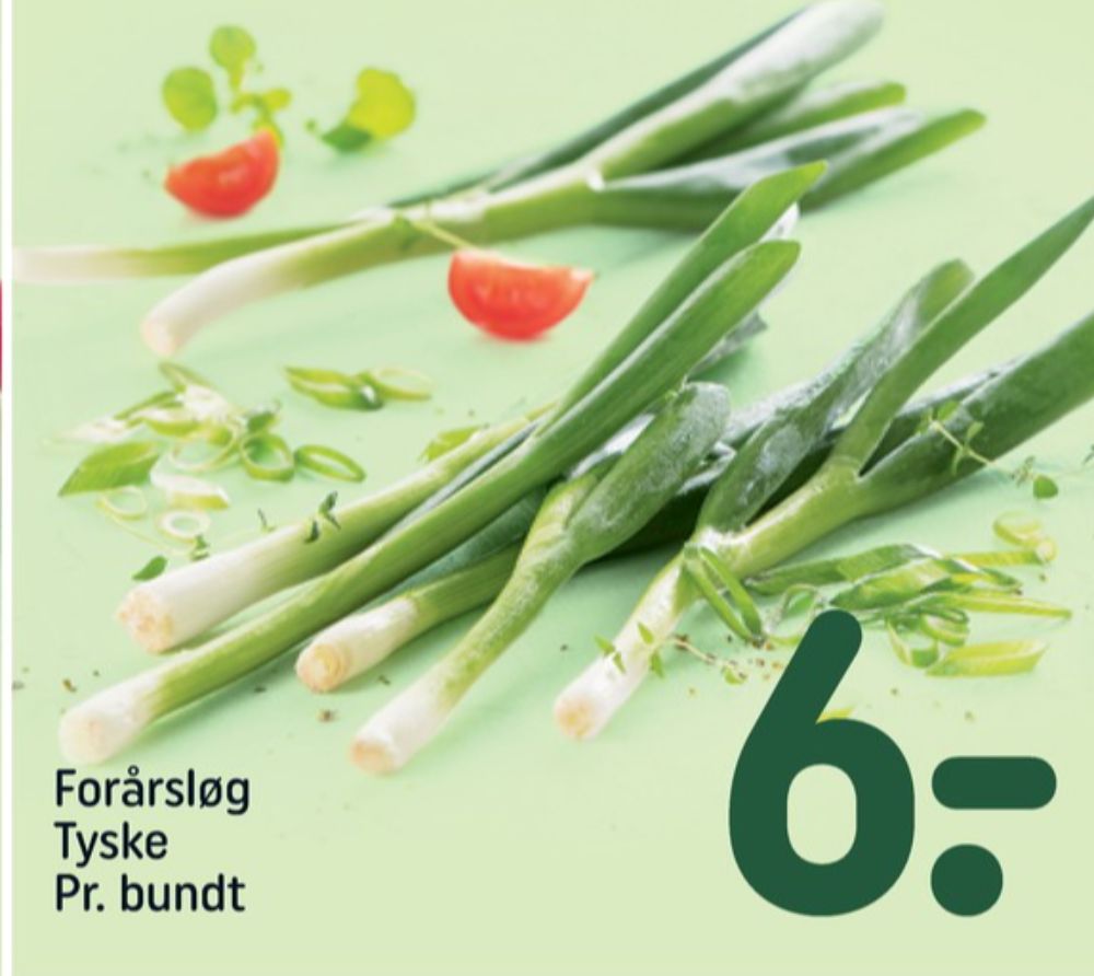 Forårsløg
