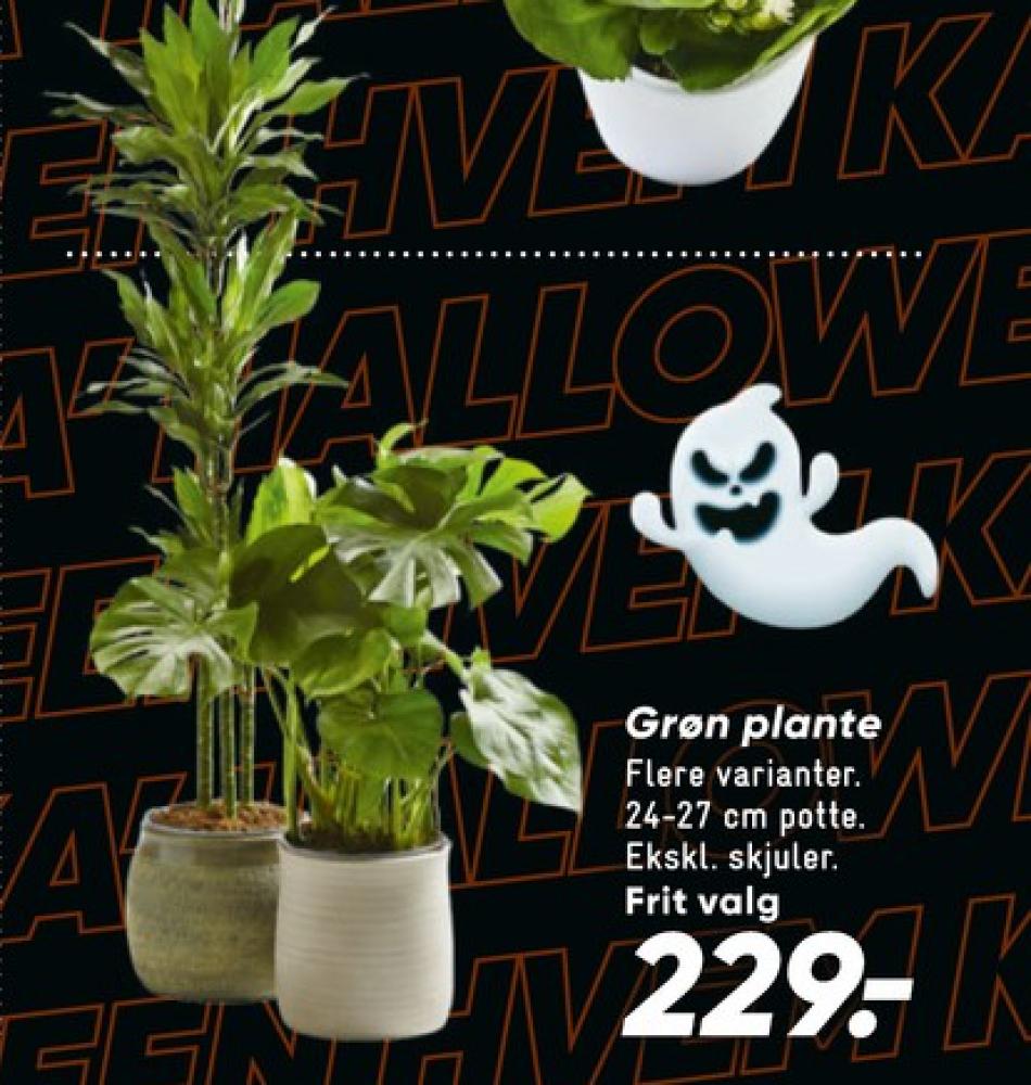 Planter
