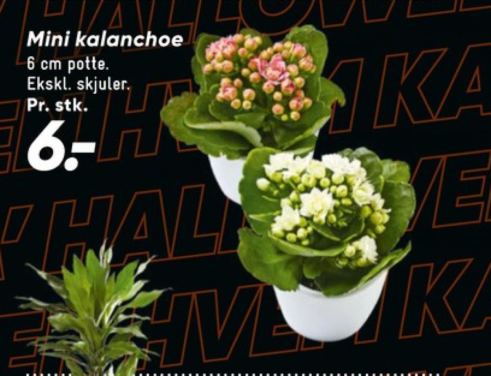 Planter