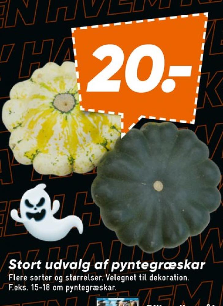Halloween Græskar