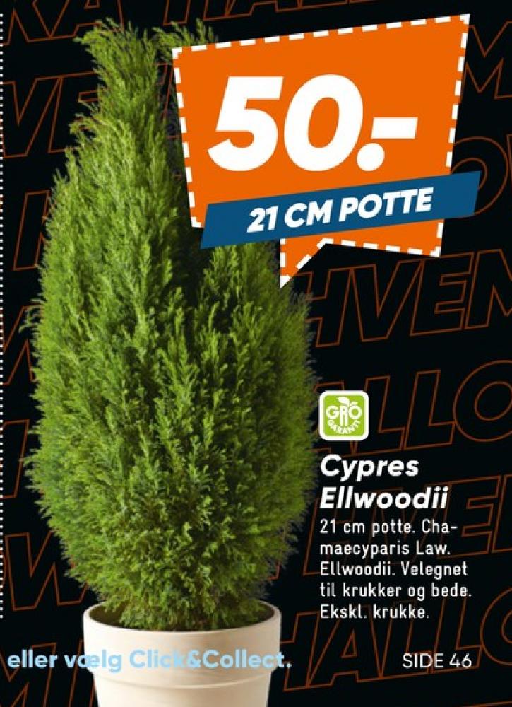 Planter