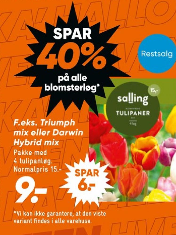 Salling, Blomsterløg