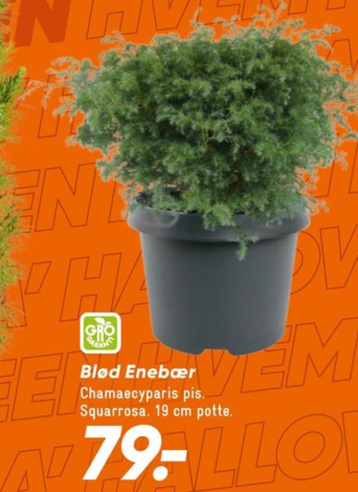 Planter
