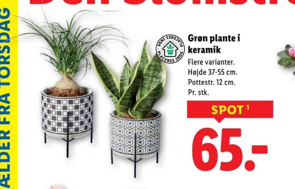 Planter