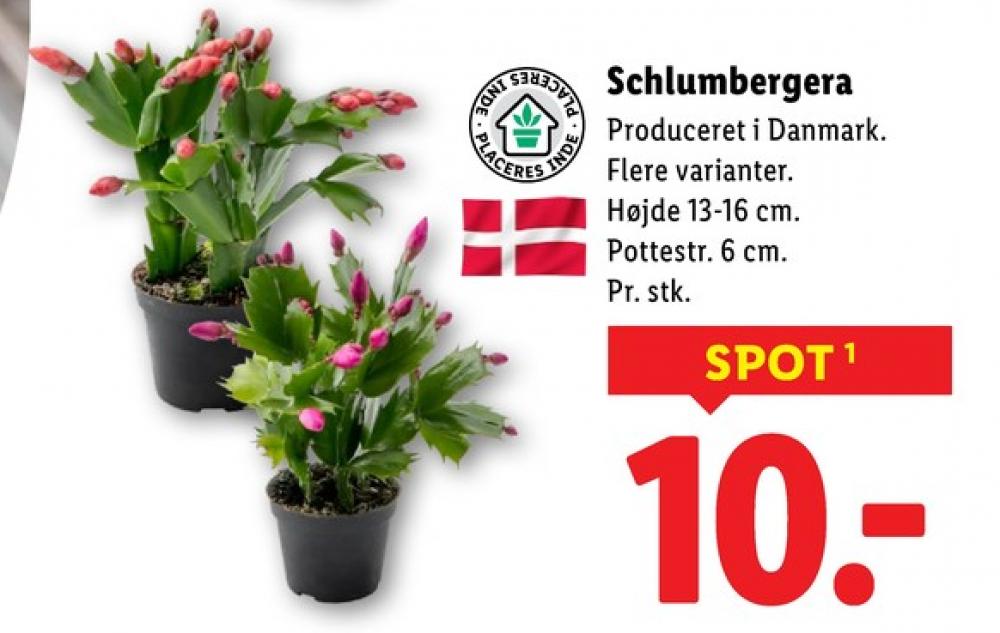 Planter