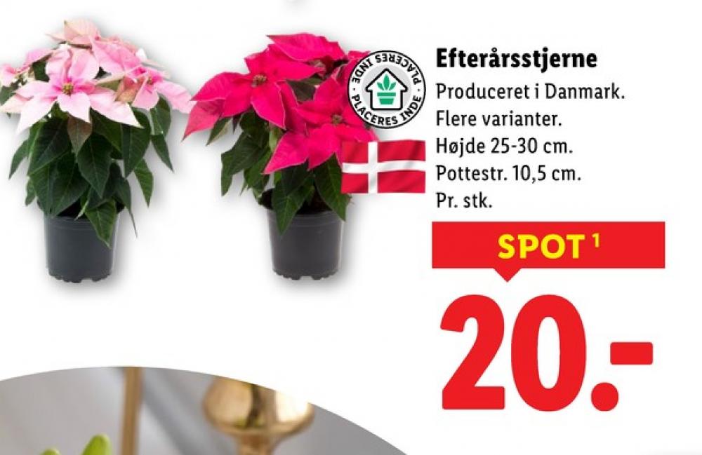 Planter