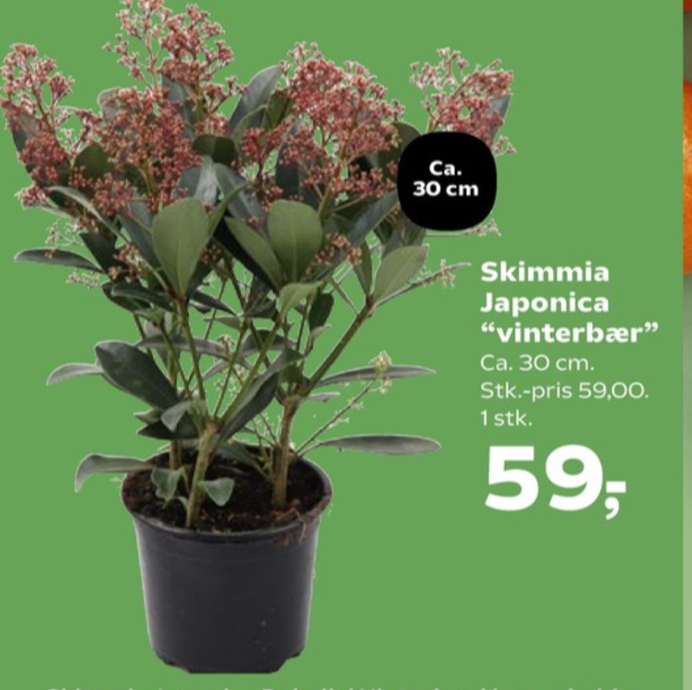Planter