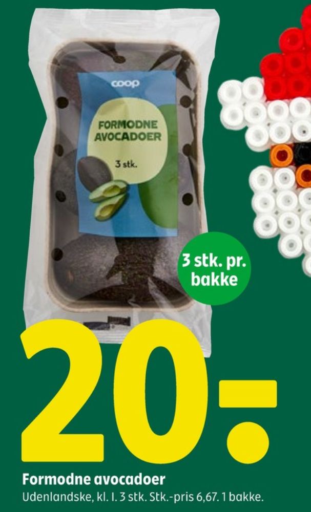 Coop, Avocado