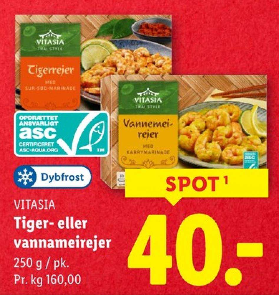 Vitasia, Vannamei Rejer