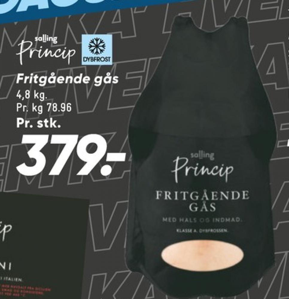 Salling Princip, Gås